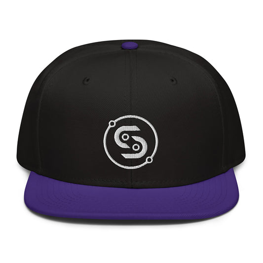 Flatbrim Hat [Front+Back Embroidered] - Purple